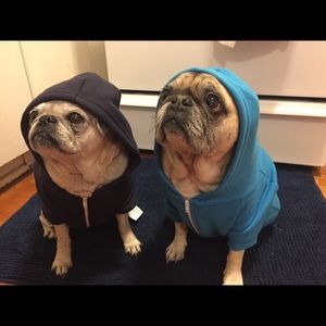 Meet your Posher, Jen